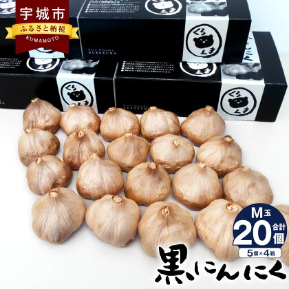 黒にんにく くろくま M玉 5個×4箱 合計20個 青森県産 A級品 野菜 ニンニク ガーリック トッピング 健康 国産 送料無料