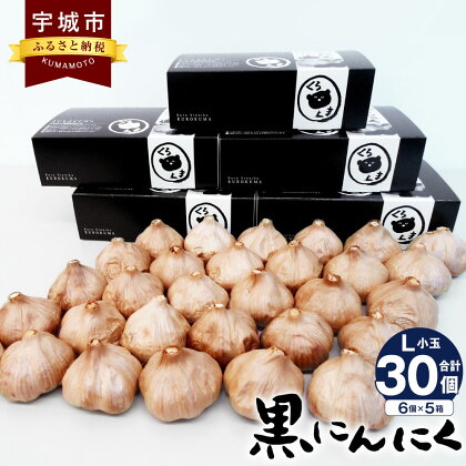 黒にんにく くろくま L小玉 6個×5箱 合計30個 青森県産 A級品 野菜 ニンニク ガーリック トッピング 健康 国産 送料無料