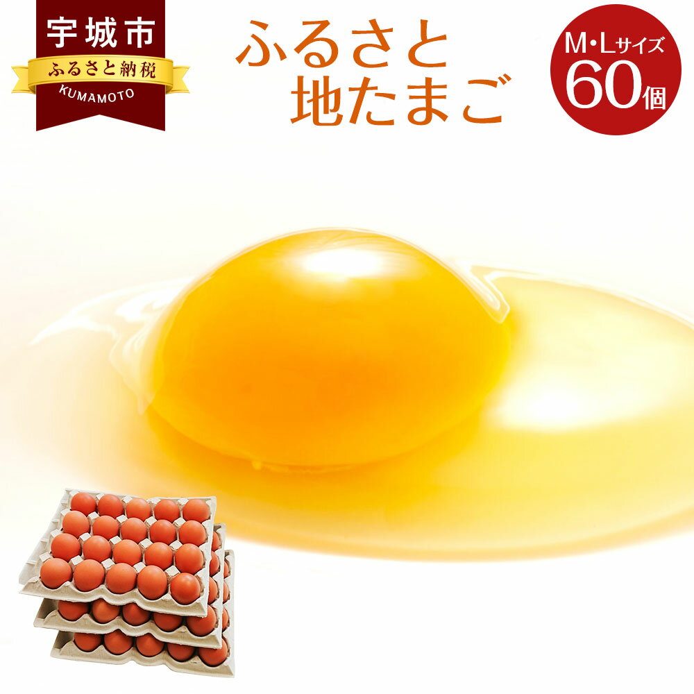 28位! 口コミ数「0件」評価「0」ふるさと地たまご 60個入り 10個破損補償含む 赤たまご 60個　M・Lサイズ混合 国産 卵 冷蔵 産地直送 鶏卵 送料無料