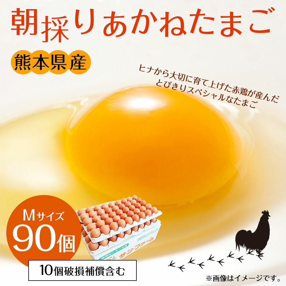 【ふるさと納税】朝採り あかねたまご 90個入 10個破損補償含む Mサイズ 国産 卵 冷蔵 産地直送 鶏卵 送料無料