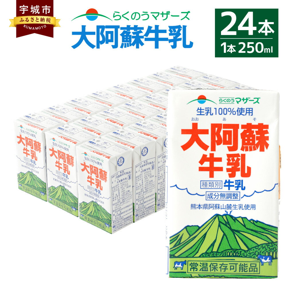 【ふるさと納税】大阿蘇牛乳 24本 250ml×24本 1ケース 牛乳 成分無調整牛乳 生乳100%使用 乳飲料 乳性飲料 らくのうマザーズ ドリンク ..