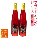 3位! 口コミ数「0件」評価「0」ブラッドオレンジ 100%ジュース 530ml×2本 合計1.06リットル 国産 九州産 熊本産 無添加 柑橘 ブラッドオレンジ オレンジ ･･･ 