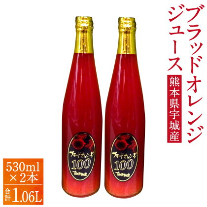 ブラッドオレンジ 100%ジュース 530ml×2本 合計1.06リットル 国産 九州産 熊本産 無添加 柑橘 ブラッドオレンジ オレンジ フルーツ 果物 ジュース 100%果汁 送料無料