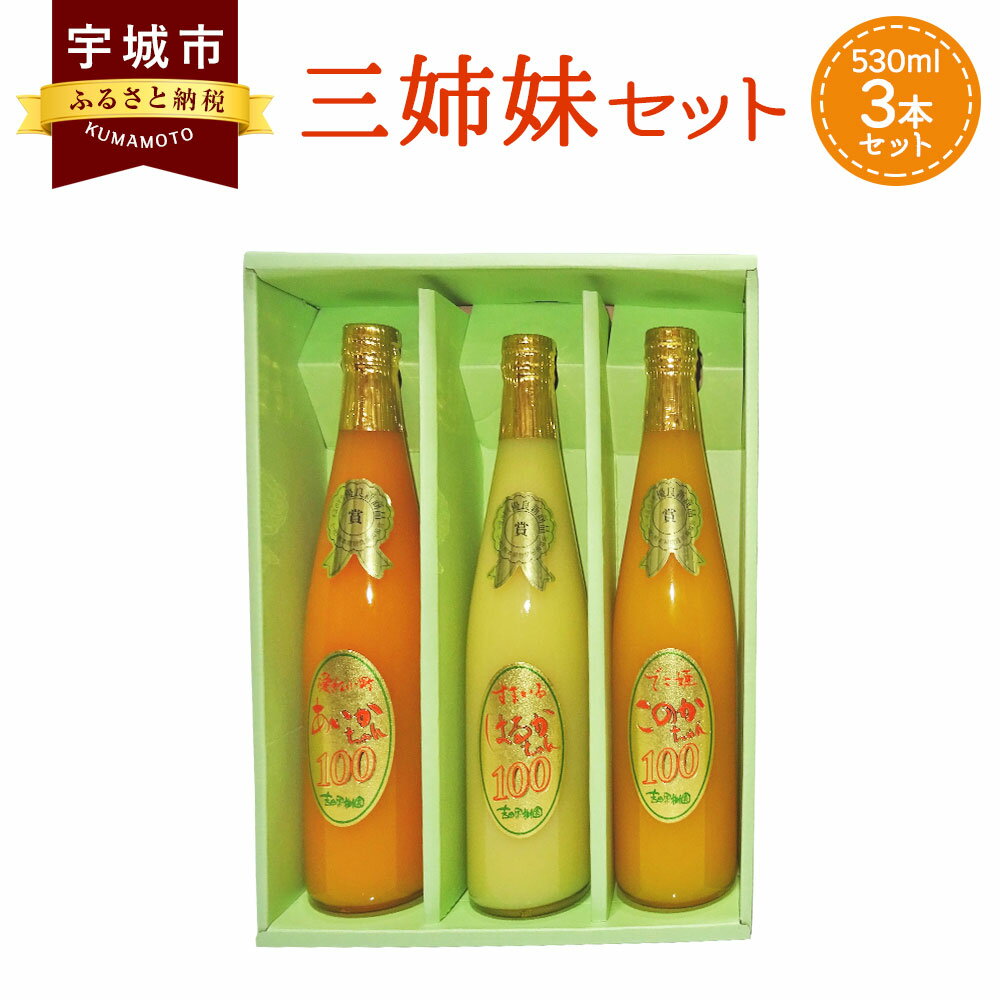 【ふるさと納税】三姉妹 530ml 3本セット 合計1.59リットル 吉田果樹園 ジュース オレンジジュース みかんジュース あいかちゃん このかちゃん はるかちゃん 温州みかん 不知火 はるか 国産 九州産 熊本産 柑橘 果物 送料無料