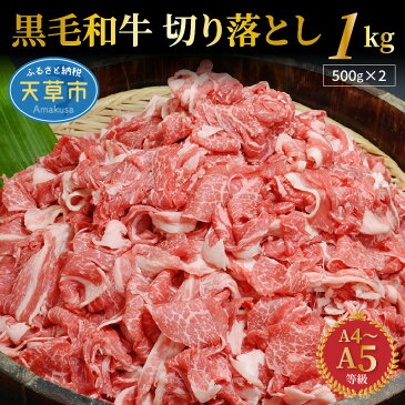 【ふるさと納税】牛肉 切り落とし 1kg 黒毛和牛 小分け 等級 A4 A5 国産 500g 2パック カレー 牛丼 肉じゃが 炒め物 肉 牛 食品 お取り寄せ 天草 お取り寄せグルメ 送料無料 ごはんのおとも 食べ物 冷凍 九州 熊本県