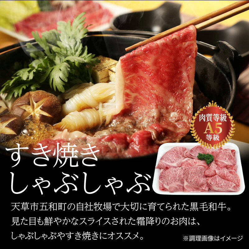 【ふるさと納税】牛肉 切り落とし 500g 黒毛和牛 ロース スライス すき焼き しゃぶしゃぶ 等級 A5 国産 肉 牛 食品 すき焼きのたれ タレ付き 天草 お取り寄せ お取り寄せグルメ 食べ物 送料無料 ごはんのおとも 冷凍 九州 熊本県