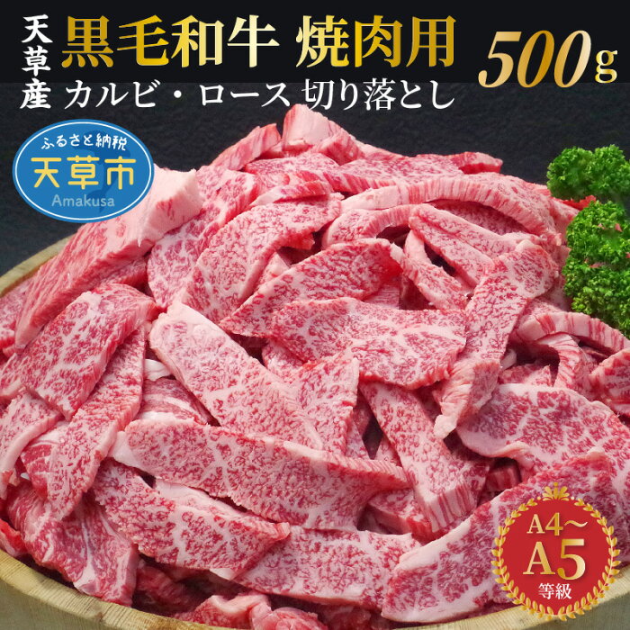 【ふるさと納税】牛肉 切り落とし 500g 黒毛和牛 焼肉 カルビ ロース 等級 A4 A5 国産 厚切り 霜降り 肉 牛 食品 お取り寄せ お取り寄せグルメ 送料無料 ごはんのおとも 食べ物 冷凍 九州 熊本県