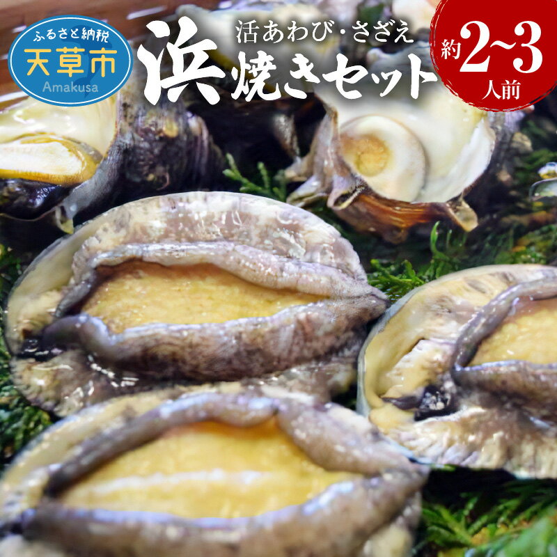 【着日指定】 活きあわび アワビ さざえ 浜焼き セット 約820g 2〜3人前 魚介類 貝類 海の幸 活きたまま 旨味 格別 バーベキュー BBQ 刺身 おどり焼き バター焼き 天ぷら 海鮮 新鮮 海の幸 熊本県 天草市 お取り寄せ グルメ 送料無料