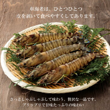 【ふるさと納税】しゃぶしゃぶ セット 車海老 ポン酢 押し包丁麵 柚子胡椒 昆布 海鮮鍋 魚介類