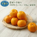 【ふるさと納税】ポンカン 約10kg 柑橘 100年ぽんかん