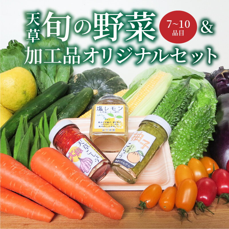 【ふるさと納税】野菜 加工品 オリジナル セット 約 7.5kg 旬 新鮮 季節 柚子胡椒 にんにくこしょう 塩レモン 調味料 サラダ 野菜スティック 詰め合わせ ソース 国産 熊本県 天草市 お取り寄せグルメ お取り寄せ 送料無料