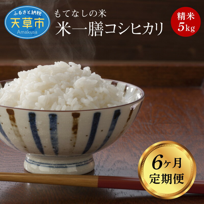 米 定期便 連続 6ヵ月 5kg 計30kg コシヒカリ 天草産 精米 単一原料米 ツヤ 粘り 香り 甘み バランス お米 ご飯 おにぎり 弁当 バーベキュー おむすび 農家 こだわり 収穫したて 国産 食品 お取り寄せ 九州 熊本県 天草市 送料無料