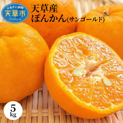 柑橘 ぽんかん 5kg サンゴールド 果物 フルーツ みかん ミカン 天草 先行予約
