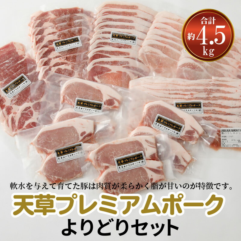 【ふるさと納税】豚肉セット 約 4.5kg 豚ロース バラ 肩ロース みそ豚 カツレツ 焼肉 しゃぶしゃぶ 生姜焼き とんかつ 産地直送 プレミアムポーク