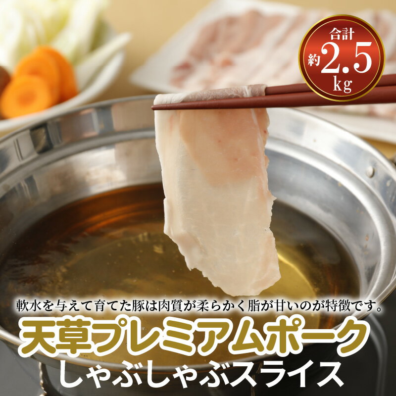 【ふるさと納税】豚肉 約2.5kg しゃぶしゃぶ用 スライス 豚ロース 約1kg 豚バラ 約1.5kg 500g小分け 国産 産地直送 真空パック 天草プレミアムポーク 柔らかい あっさり 甘み 臭みがない 食品 天草 お取り寄せ お取り寄せグルメ 食べ物 冷凍 送料無料