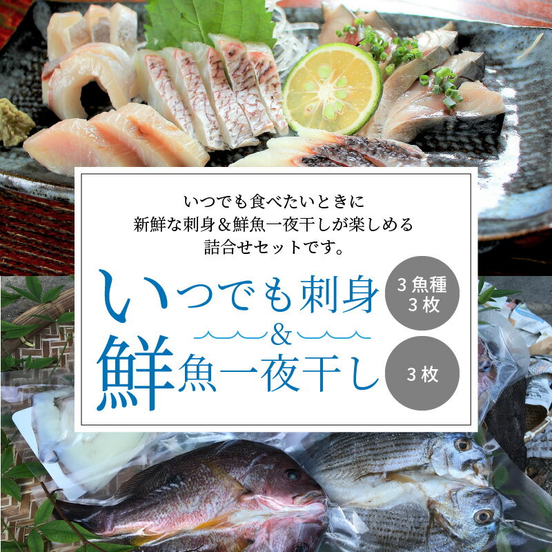 【ふるさと納税】いつでも刺身 3魚種 3枚＆鮮魚一夜干し 3枚セット