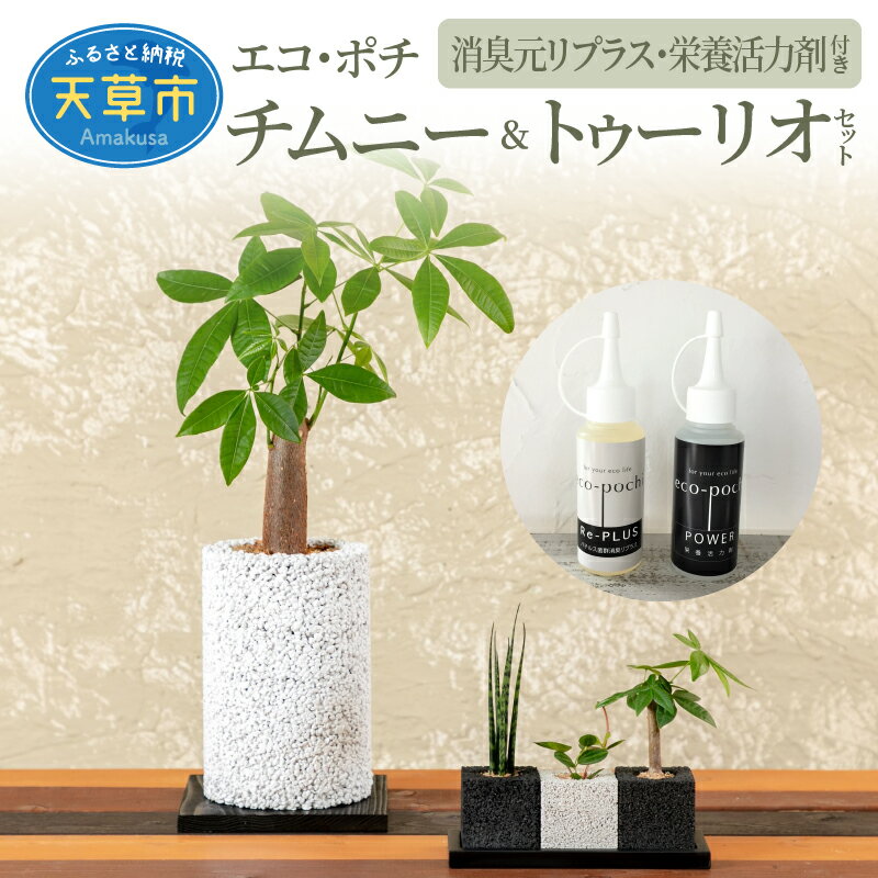 熊本県天草市 | ふるさと納税の返礼品一覧(17サイト横断・人気順) | ふるさと納税ガイド 熊本県天草市 | ふるさと納税の返礼品一覧(17サイト横断・人気順) | ふるさと納税ガイド