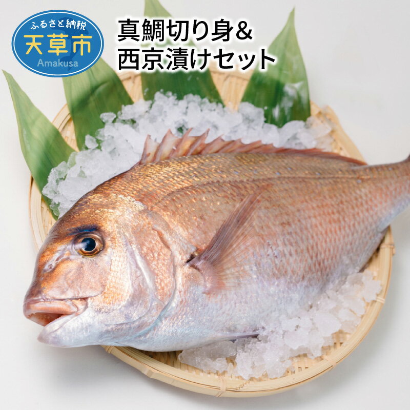 【ふるさと納税】真鯛切り身＆西京漬けセット