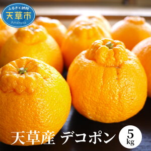 【ふるさと納税】柑橘 5kg デコポン 濃厚 柑橘の王様 果物 フルーツ 予約受付
