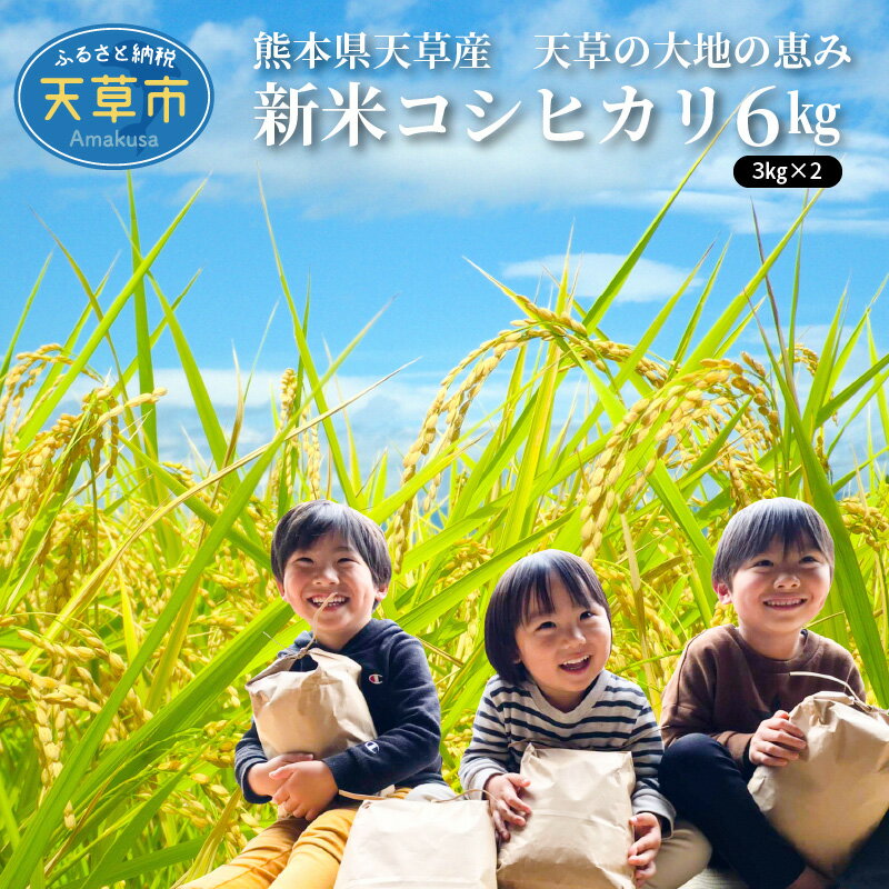 新米 令和6年産 コシヒカリ 6kg 大地の恵み 精米 3kg 2袋 単一原料米 国産 米 お米 白米 ごはん 熊本県 天草 お取り寄せ 食品 九州 ふっくら もっちり 送料無料