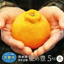 【ふるさと納税】柑橘