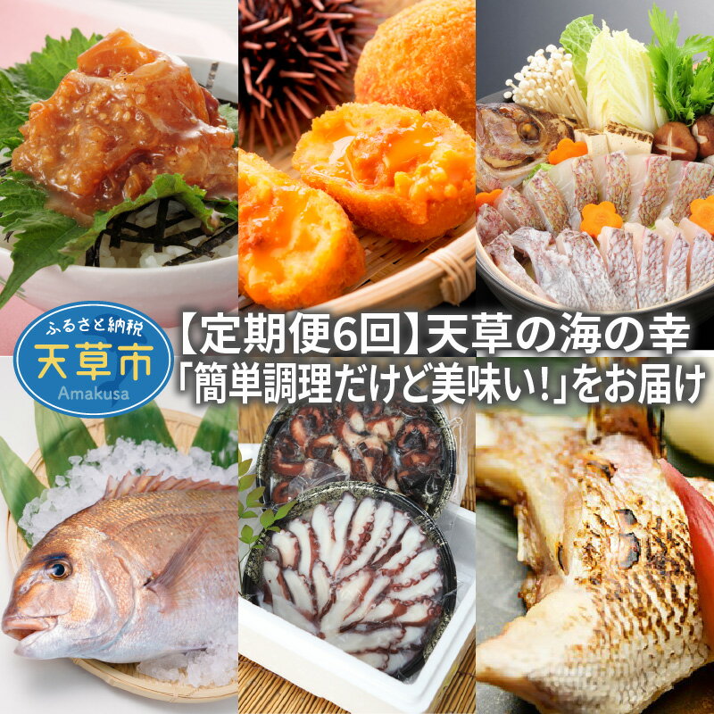 魚介類 詰め合わせ 定期便 6回 海鮮 セット 真鯛沖めし うにコロッケ たこわさび 鯛めし たこめし 真鯛お刺身用サク 地だこセット 刺身用 たこの柔らか煮 真鯛塩カマ 簡単調理 時短 天草 お取り寄せ お取り寄せグルメ 送料無料 冷凍