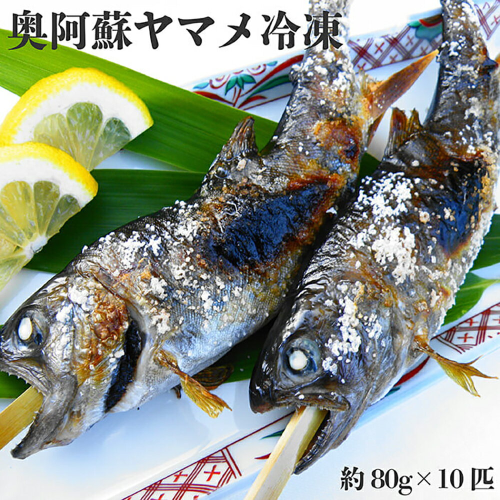 奥阿蘇ヤマメ 冷凍 約80g×10匹 合計800g バーベキュー ヤマメ やまめ 山女魚 魚 焼き魚 冷凍川魚 魚介類 川魚 国産 九州産 熊本県産 高森町産 送料無料