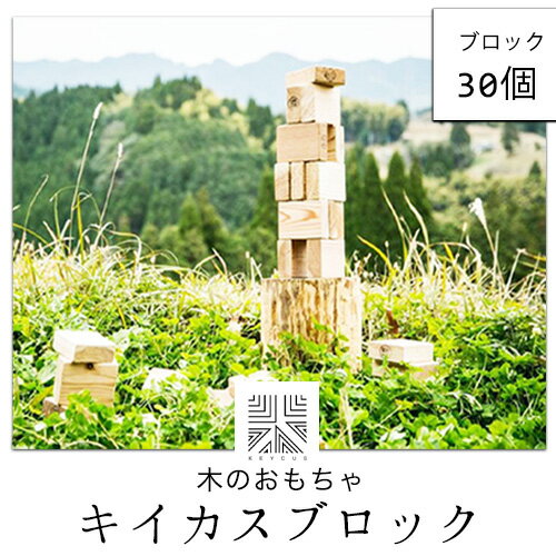 1位! 口コミ数「0件」評価「0」熊本県 御船町 キイカスブロック 30個 木のおもちゃ 森のバランスゲーム KEYCUSプロジェクト事務局 國武林業《30日以内に出荷予定(･･･ 