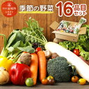 19位! 口コミ数「2件」評価「5」季節の野菜 16品目 セット 野菜 やさい 詰め合わせ 旬の野菜 ランダム おまかせ 冷蔵 国産 春 旬 春野菜 送料無料