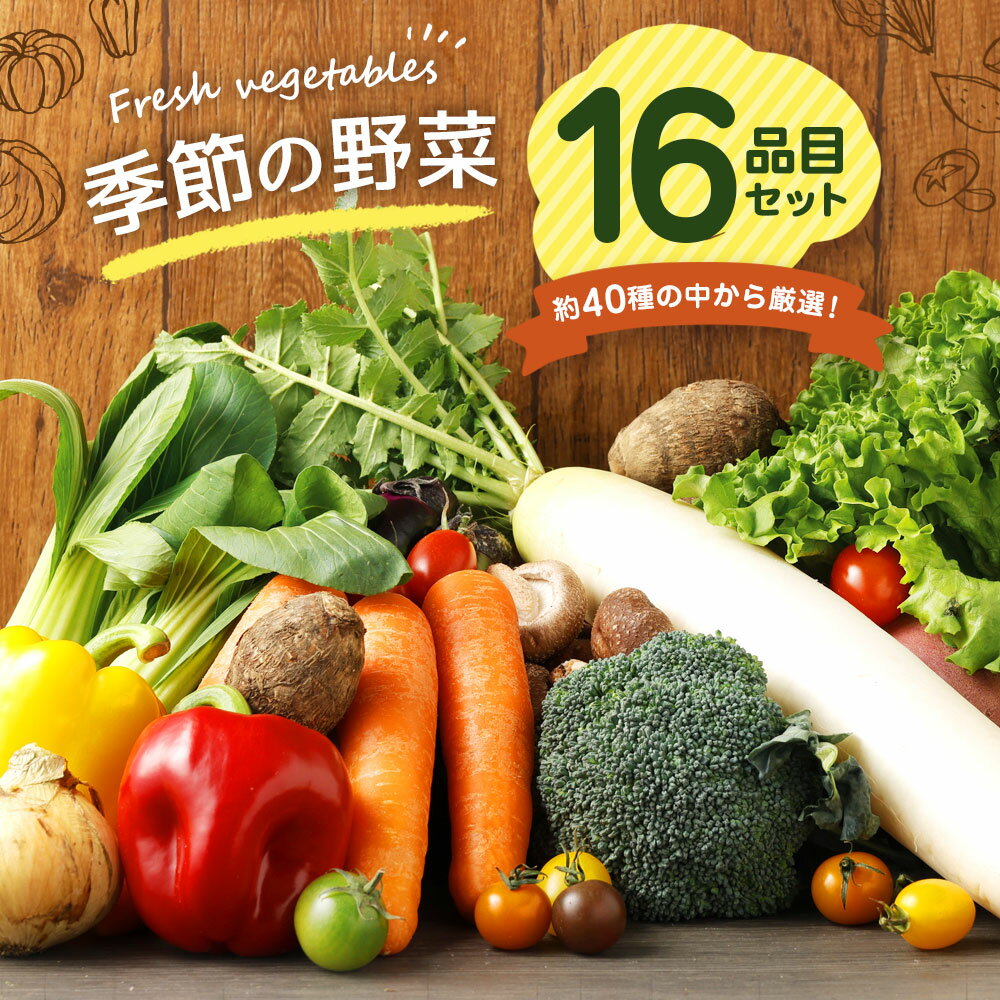 【ふるさと納税】季節の野菜 16品目 セット 野菜 やさい 詰め合わせ 旬の野菜 ランダム おまかせ 冷蔵 国産 春 旬 春野菜 送料無料