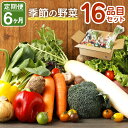 【ふるさと納税】【定期便6回】 季節の野菜 16品目 セット 定期便 6ヶ月連続 野菜 やさい 詰め合わせ 旬の野菜 ランダム おまかせ 冷蔵 国産 春 旬 春...
