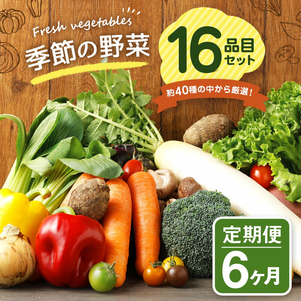 【ふるさと納税】【定期便6回】 季節の野菜 16品目 セット 定期便 6ヶ月連続 野菜 やさい 詰め合わせ 旬の野菜 ランダム おまかせ 冷蔵 国産 春 旬 春野菜 送料無料