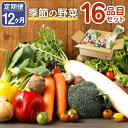 5位! 口コミ数「3件」評価「4」【定期便12回】 季節の野菜 16品目 セット 定期便 12ヶ月連続 野菜 やさい 詰め合わせ 旬の野菜 ランダム おまかせ 冷蔵 国産 春･･･ 