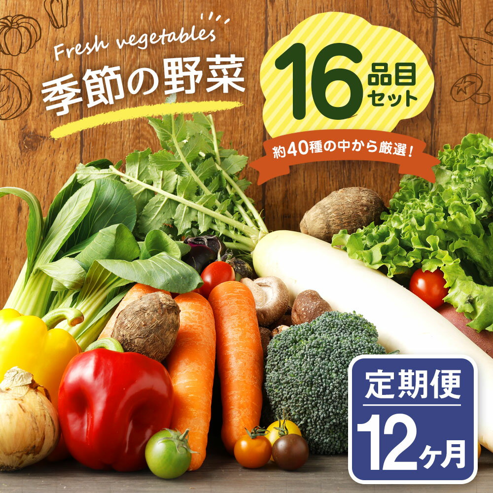 【ふるさと納税】【定期便12回】 季節の野菜 16品目 セット 定期便 12ヶ月連続 野菜 やさい 詰め合わせ 旬の野菜 ランダム おまかせ 冷蔵 国産 春 旬 春野菜 送料無料