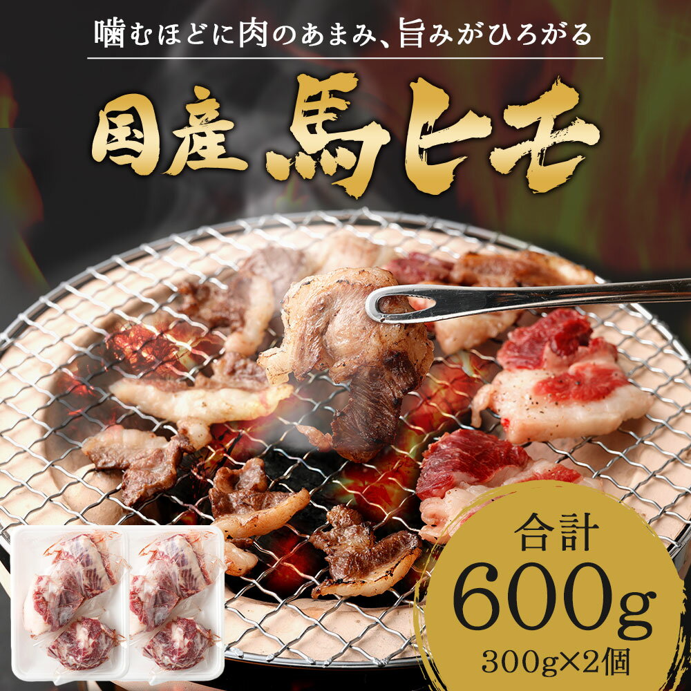 【ふるさと納税】国産馬ヒモ 焼肉用 600g (300g×2パック) 馬肉 お肉 馬ヒモ アバラ肉 焼き肉 煮込み 冷凍 熊本県産 国産 送料無料