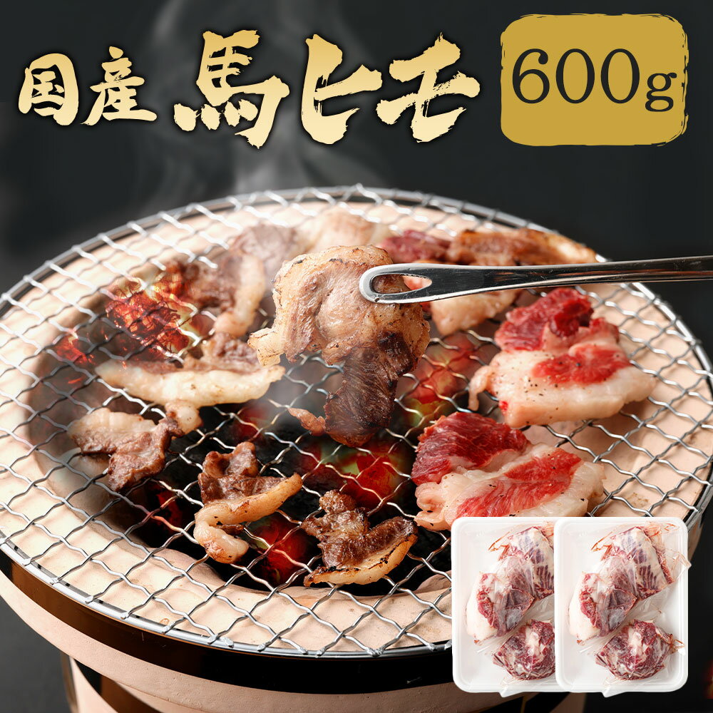 国産馬ヒモ 焼肉用 600g (300g×2パック) 馬肉 お肉 馬ヒモ アバラ肉 焼き肉 煮込み 冷凍 熊本県産 国産 送料無料