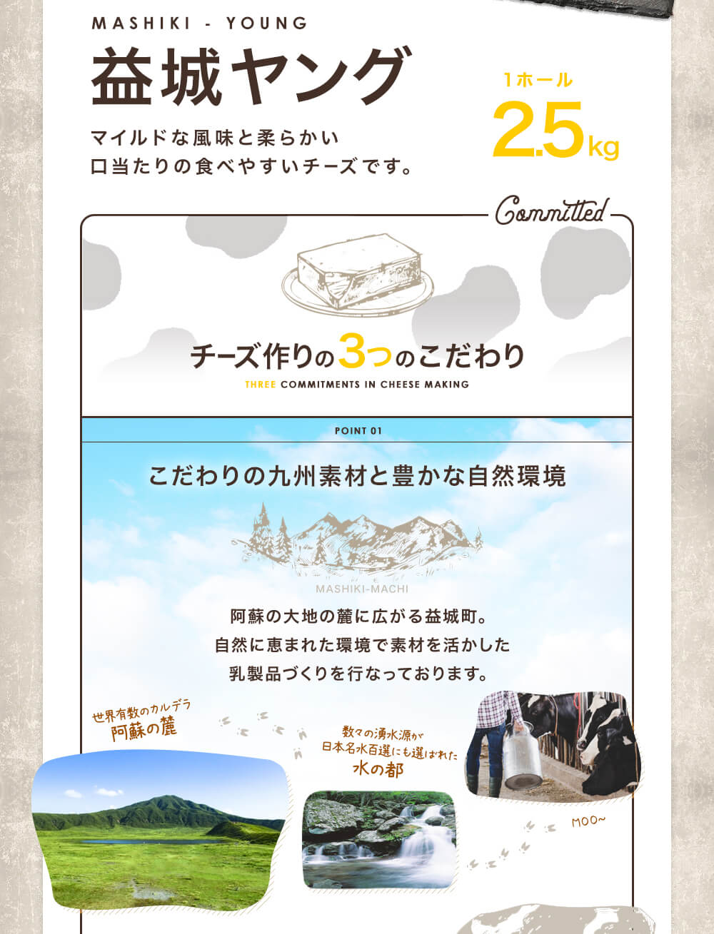 【ふるさと納税】益城ヤング 2ヵ月熟成タイプ 1ホール 約2.5kg チーズ セミハードタイプ ブロック おつまみ トッピング 乳製品 冷蔵 送料無料