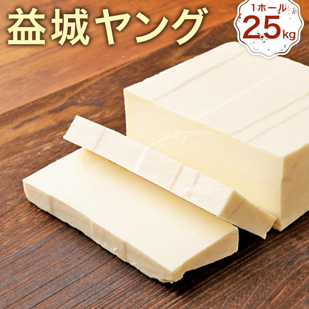 【ふるさと納税】益城ヤング 2ヵ月熟成タイプ 1ホール 約2.5kg チーズ セミハードタイプ ブロック おつまみ トッピング 乳製品 冷蔵 送料無料