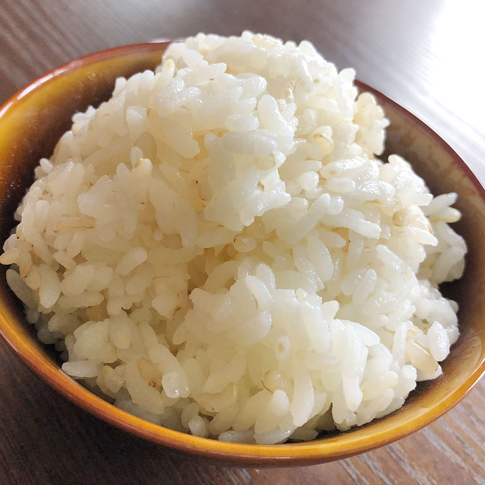 【ふるさと納税】発芽玄米用玄米 腹福米手作りセット 玄米 5