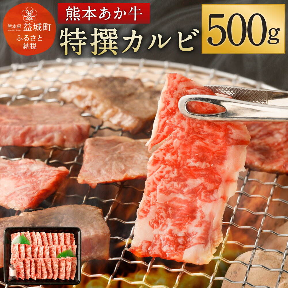 熊本あか牛 特選カルビ 500g 焼き肉 焼肉 やきにく BBQ バーベキュー カルビ あか牛 和牛 牛肉 お肉 精肉 冷凍 熊本県産 送料無料