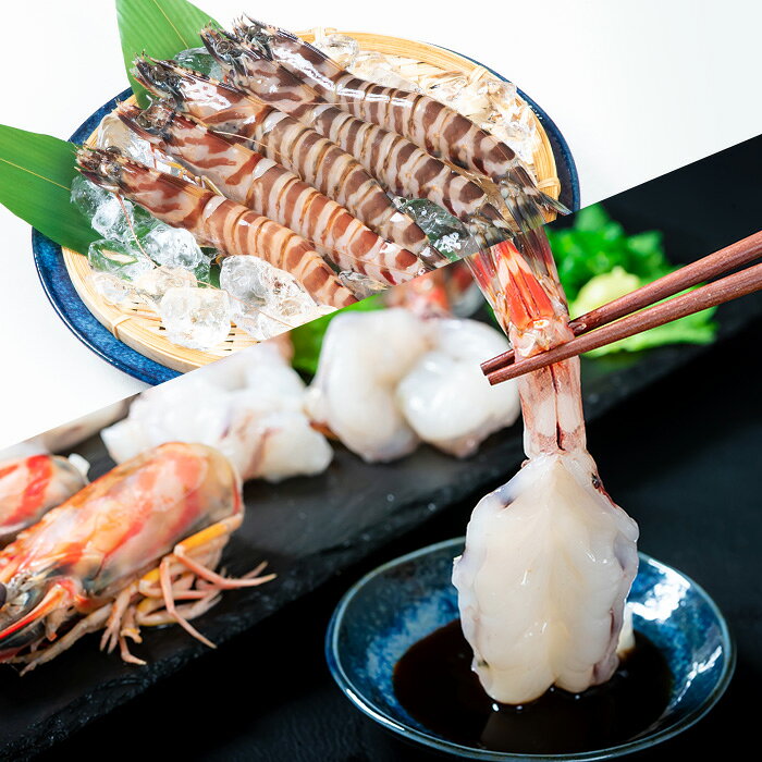 �ڤդ뤵��Ǽ�ǡۡ������̤����٤��ŷ�� �褭���֥��� ������ (300g����900g) ���� ��Ϸ �ֳ�Ϸ �֥��� ���� �ɿ� ������ ŷ�פ� ���� �С��٥��塼 �� ��ʬ���� ��ʬ�� �ḫ���дۡ�opad007��opad008�ۡ��ḫ���дۡ�