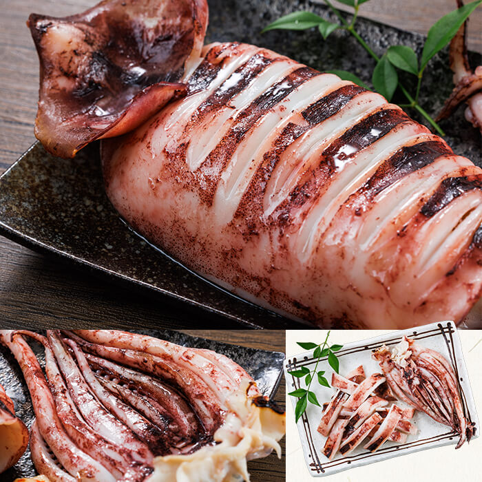 【ふるさと納税】 ＜訳あり＞ いかの一夜干し (計10尾) 魚介 いか イカ 烏賊 一夜干し 冷凍 おつまみ つまみ スルメイカ するめいか するめ 国産 小分け 【opar003】【磯武】