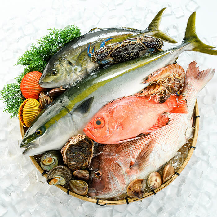 【ふるさと納税】＜定期便＞ 魚介類定期便 (全12回 ・連続) 魚 魚介 海鮮 いか イカ たこ タコ 貝 海老 えび エビ 冷蔵 【opba001】【海べ】