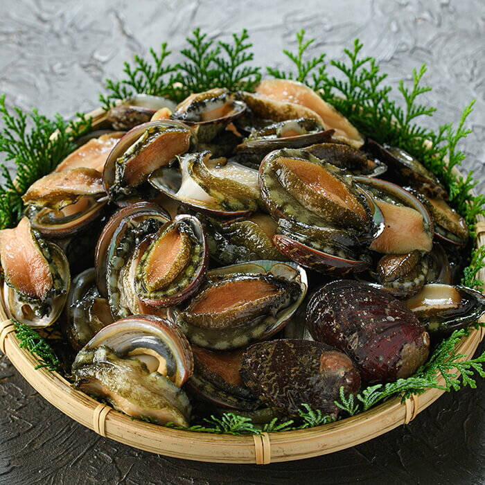 【ふるさと納税】とこぶしのやわらか煮 (計200g) 魚介 貝 とこぶし トコブシ おつ...