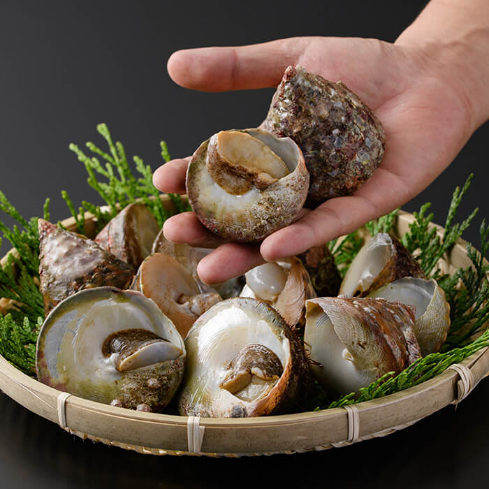 【ふるさと納税】＜内容量が選べる＞陣笠にな (約1kg or 約2kg) 魚介 貝 にな ニナ 海鮮 バーベキュー 【opba012・opba013】【海べ】 f440001-oita-10000319 大分県 サンプル画像2