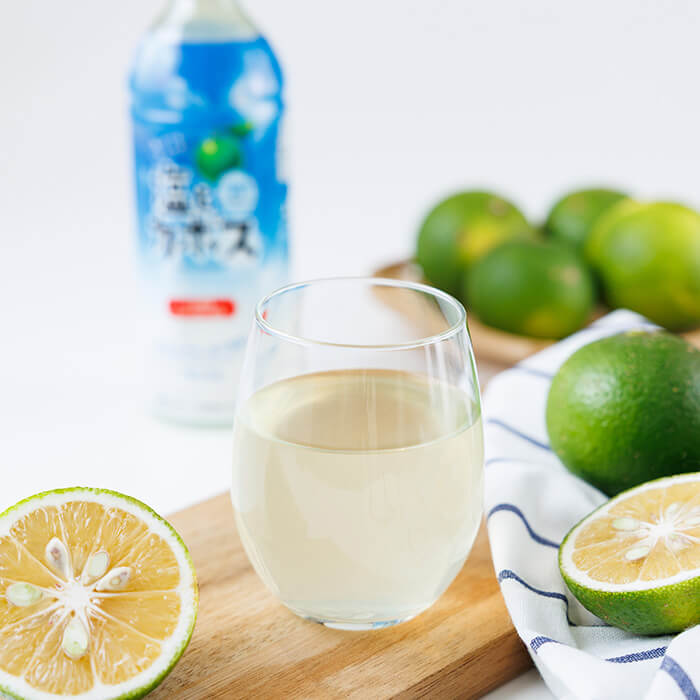 【ふるさと納税】塩とカボス (495ml×24本) かぼす ドリンク ジュース カボス 塩 飲料 ペットボトル 防災 常温 【opbz016】【さいき本舗 城下堂】