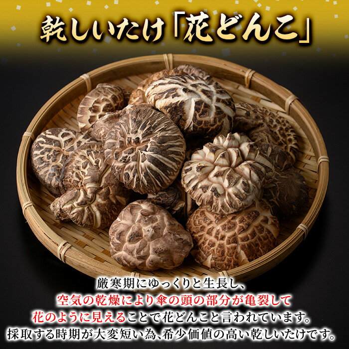 �ڤդ뤵��Ǽ�ǡ� ���������� �ֲ֤ɤ󤳡� (310g) ���Τ� ���� ��ʬ���� ��opst003�ۡ���ʬ���������ȶ�Ʊ�ȹ��