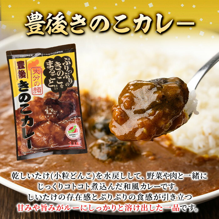【ふるさと納税】豊後きのこカレ−(180g×10個)レトルトカレー 椎茸 どんこ 温めるだけ【opst008】【大分県椎茸農業協同組合】 f440001-oita-10000039 大分県 サンプル画像3