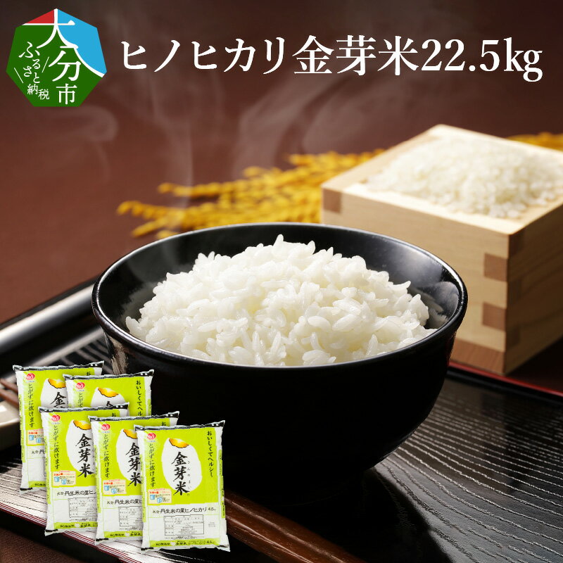 【ふるさと納税】大分丹生米の里 ヒノヒカリ 金芽米 22.5kg B01025