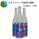 13位! 口コミ数「0件」評価「0」大分トリニータ頑張れ焼酎 720ml×3本 麦焼酎 本格焼酎 20度 サッカー Jリーグ 応援品 明野酒類 コラボ デザインパッケージ ギフ･･･ 